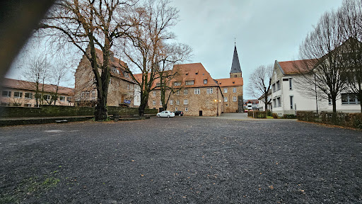 Mauerwiese - Visual