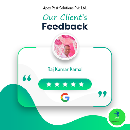 Customer Love