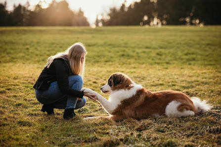 Tiertherapie & Hundeschule Bauer Maierhof 6, 84524 Neuötting, Deutschland