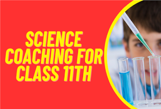 MIT SIR'S Anadkat Academy CBSE, ICSE, IGCSE, IB board Science, Commerce, Humanities is a trusted… post image