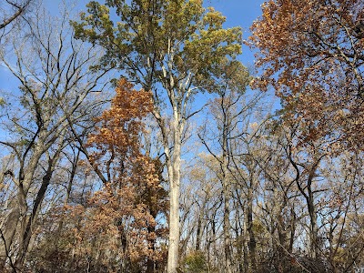 Belt Woods Natural Environment Area