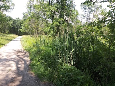 Willow Springs Woods