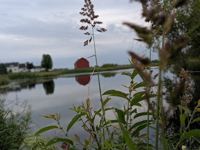 Herbert W Steih Memorial Park