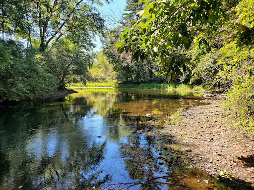 Cedariver - Visual