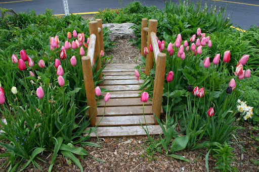 Country Meadows Montessori School - Thumbnail