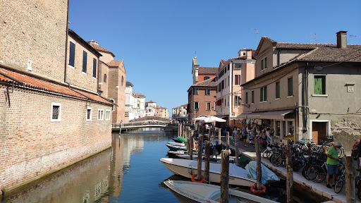 Riva Vena - Visual