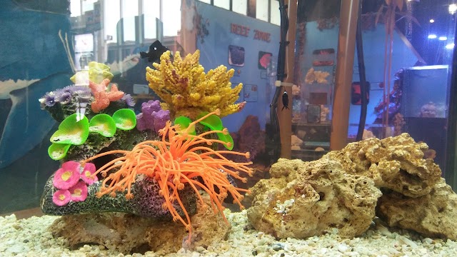 The Children's Museum at La Habra