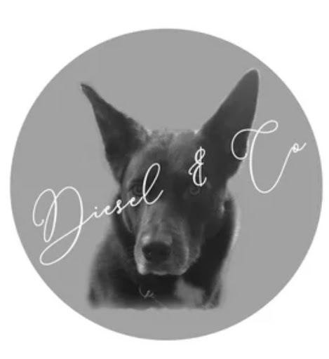 Diesel & Co. Pet Boutique - Thumbnail