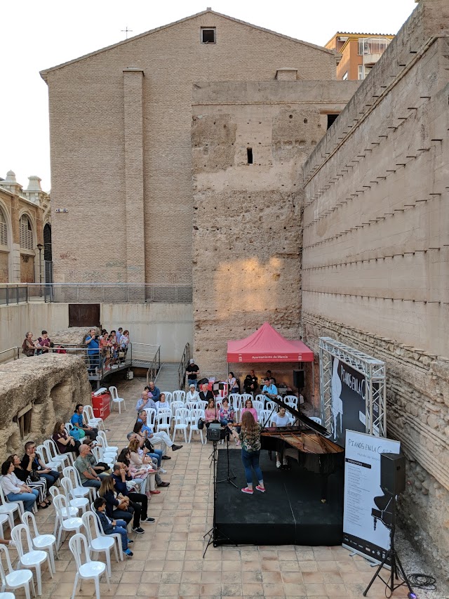 Restos de la Muralla Arabe
