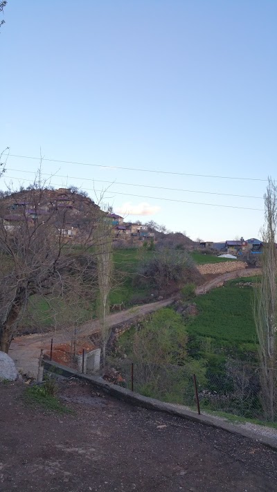 Dallarca Koyu Mosque