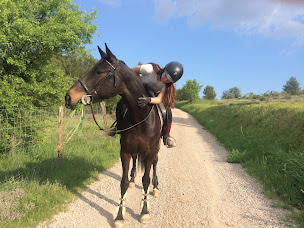 Photo n°5 de Le Fer à Cheval, centre équestre, poney club et centre de tourisme équestre à Mèze (Centre de randonnée équestre)