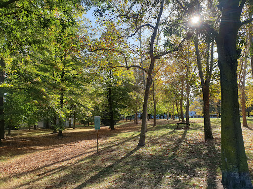 Parco Noce Nero - Visual
