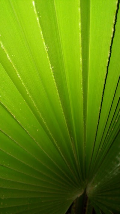 Photos of Amougay Garden