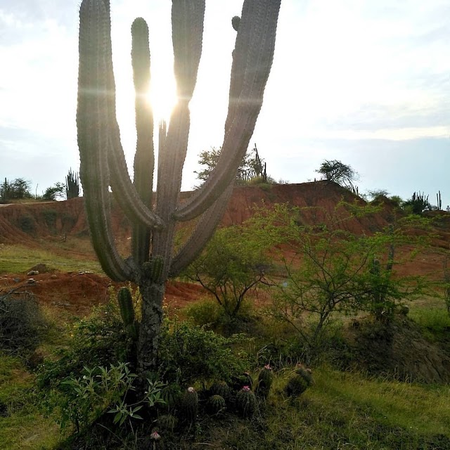 El Desierto de La Tatacoa