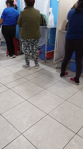 Comentarii opinii despre Hospital Veterinario Oasis del Sur