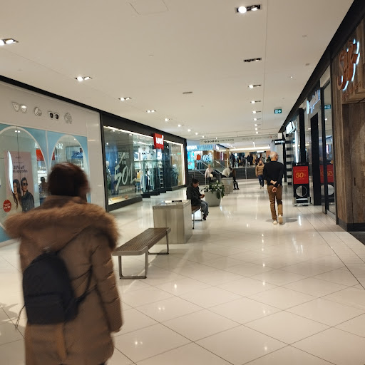Apple Rideau - Visual