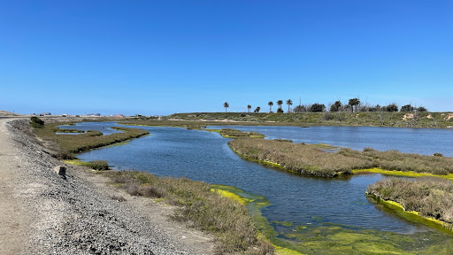 Bolsa Chica Conservancy - Thumbnail