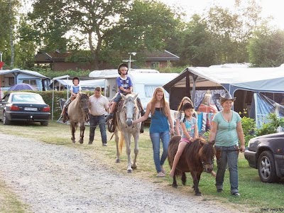 Photos of Dalg&aring;rd Camping