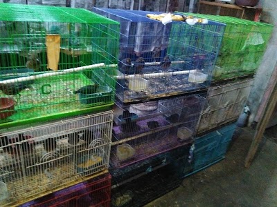 Photos of Arf Bird Shop