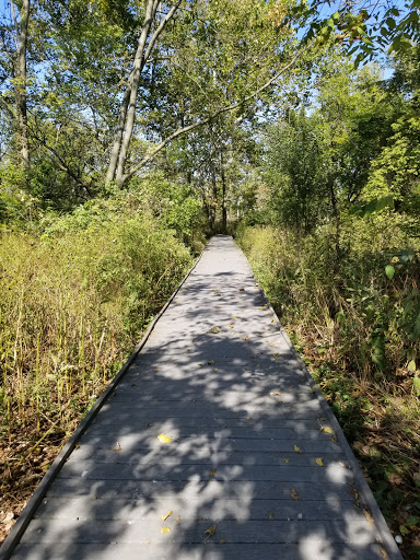Woodman Fen Gallery - United States