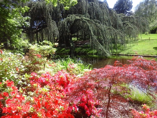 Arboretum De La Vallée Aux Loups