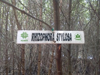 Photos of Pantai Baluno