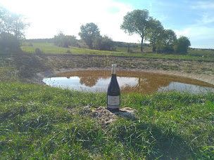 Photo n°6 de La Lavogne, à Sainte-Eulalie-de-Cernon (Villa)