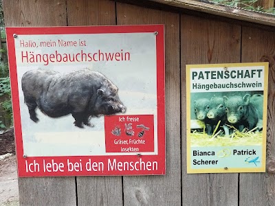 Photos of Wels Zoo