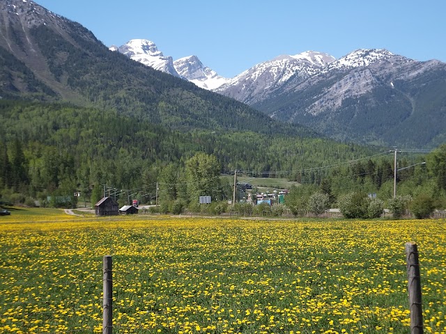 Fernie