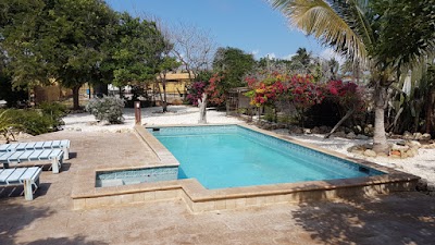 Photos of Arawa Houses Aruba