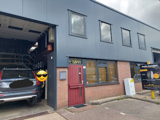 Delfia Tires - Thumbnail