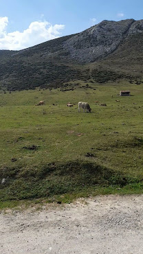 Refugio Vega de Enol by null