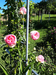 Photo n°15 de Chambres d'hôtes JOUANDOUS à Habas (Hébergement)