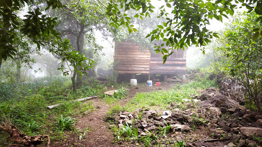 La cabaña de Tocoyatl - Thumbnail