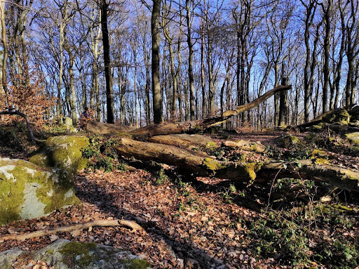 Malberg - Visual