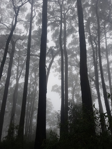 Mount Macedon Fire Brigade (CFA) - Thumbnail