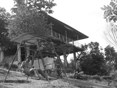 Photos of puncak kinari
