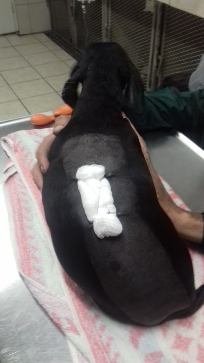 Photos of Brackenhurst Veterinary Clinic