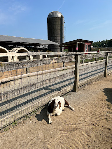 Great Brook Farm Ice Cream - Thumbnail