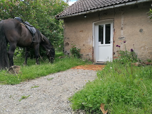 Melissa Toitot Neuropsychologue Equithérapeute - Autun Le Creusot, Saône et Loire, Bourgogne - Thumbnail
