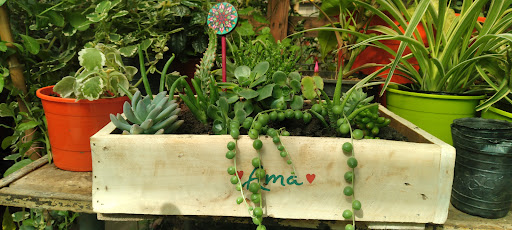 EL portal de las plantas - Foto 1