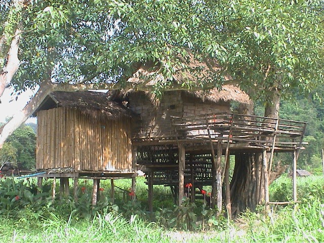 Elephant Nature Park