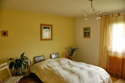 Photos of Damisa-House