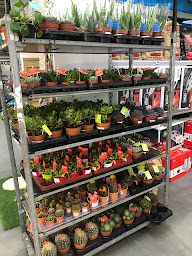 Photo n°19 de Castorama à Nîmes (Magasin d'outillage)