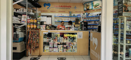 FarmAnimals Polanco