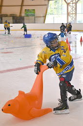 Photo n°20 de Hockey Club Compiegnois à Compiègne (Club de hockey sur glace)