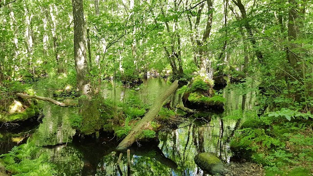 Parc national de Stenshuvud