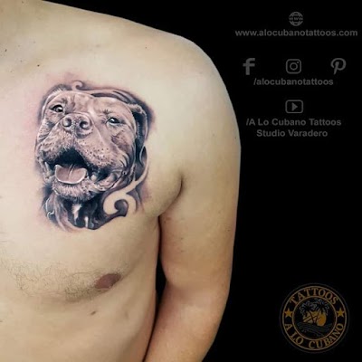 Photos of A Lo Cubano Tattoos Studio