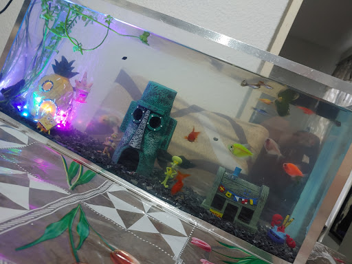 Acuario Caleb