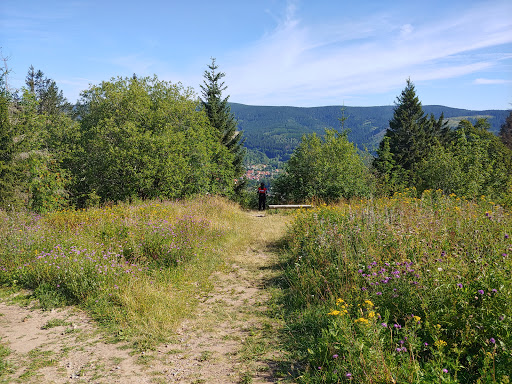 Parkplatz am Ringbergblick - Visual